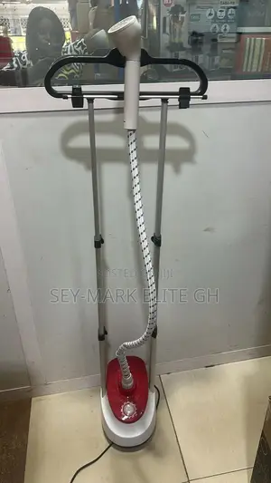 Garment Steam Iron