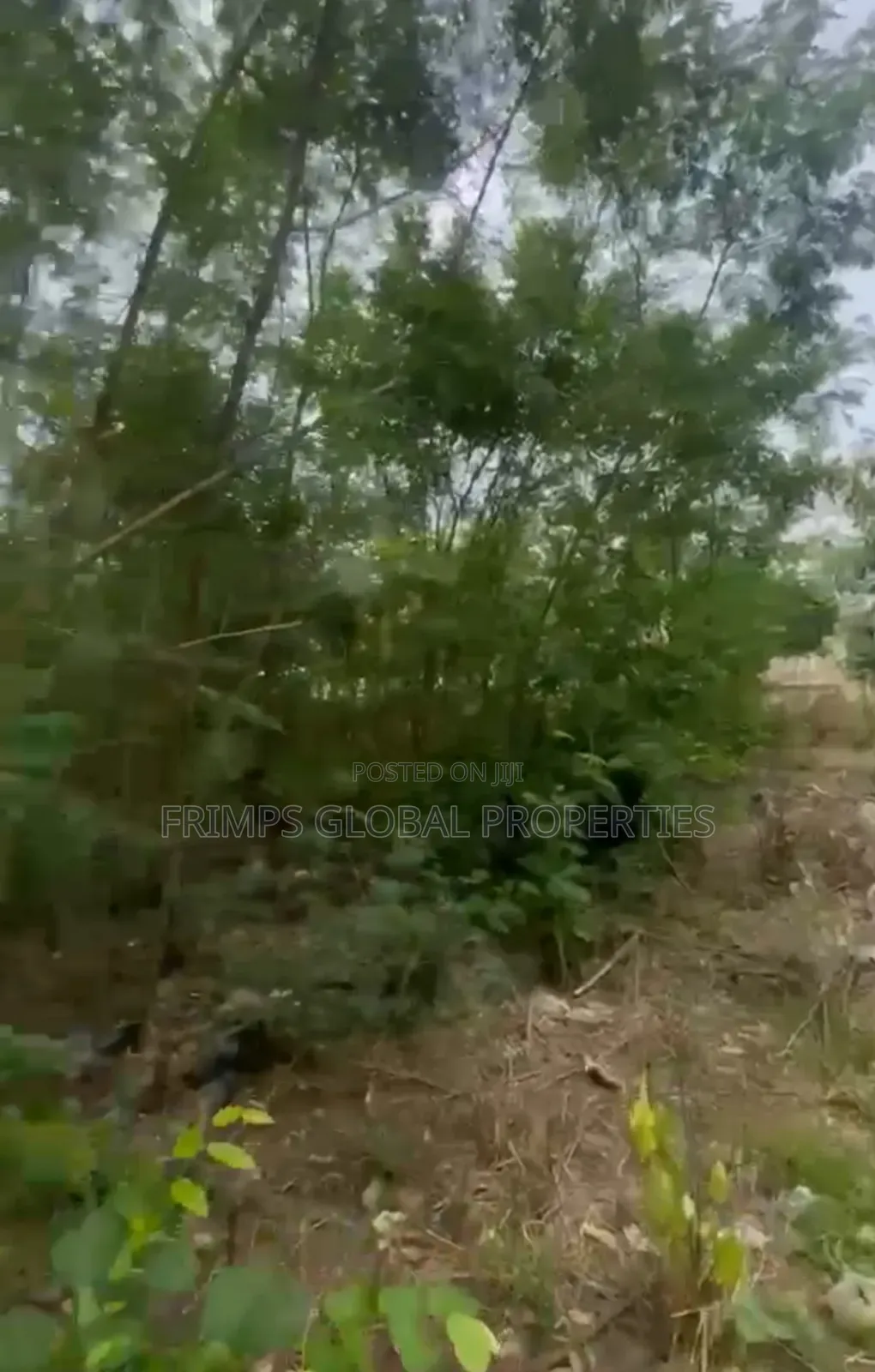 90x110 Plot Of Land At Amasaman Abehenase