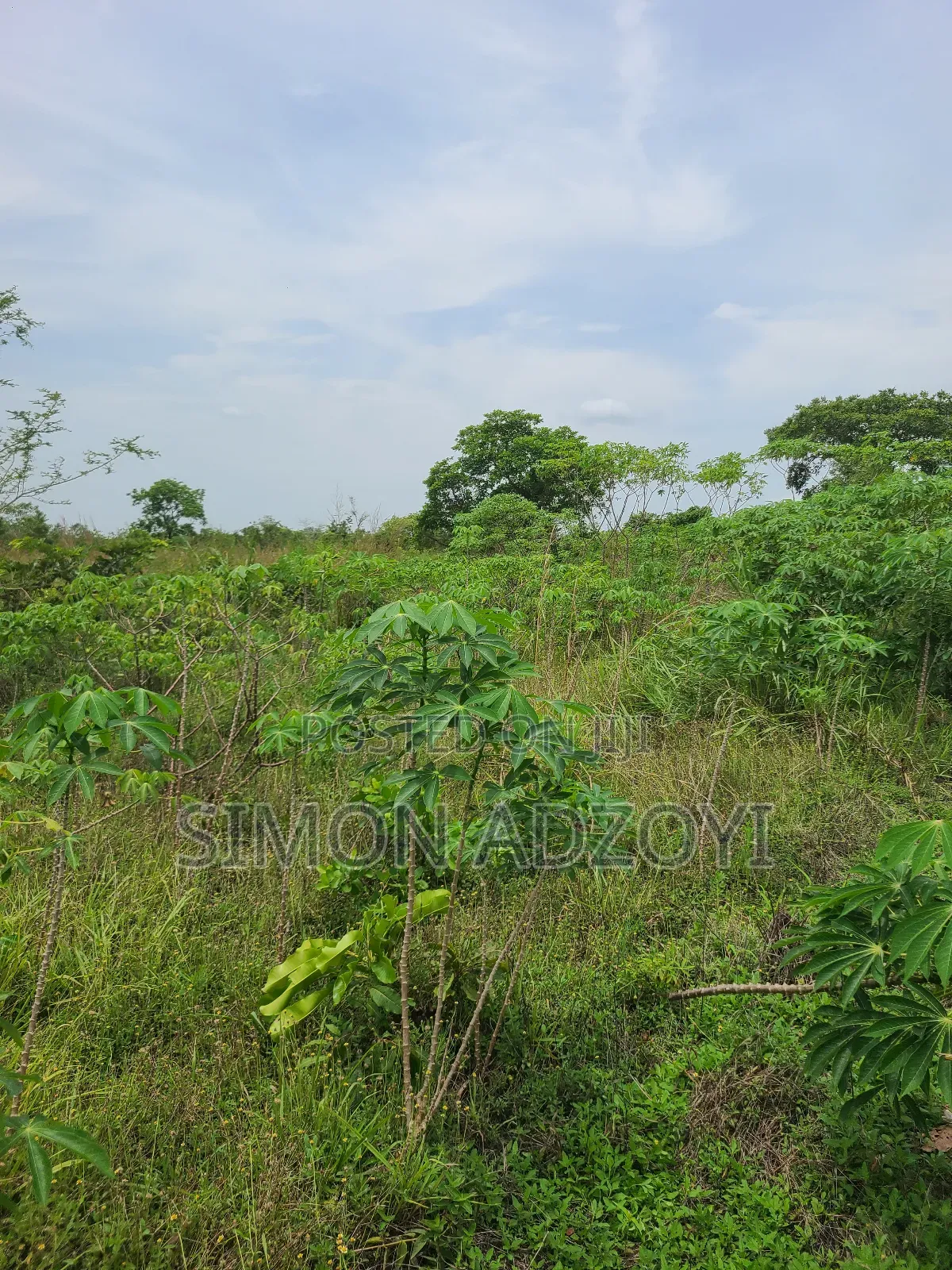 50,000 + Acres of Farm Land for Sale