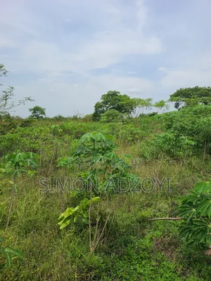 50,000 + Acres of Farm Land for Sale