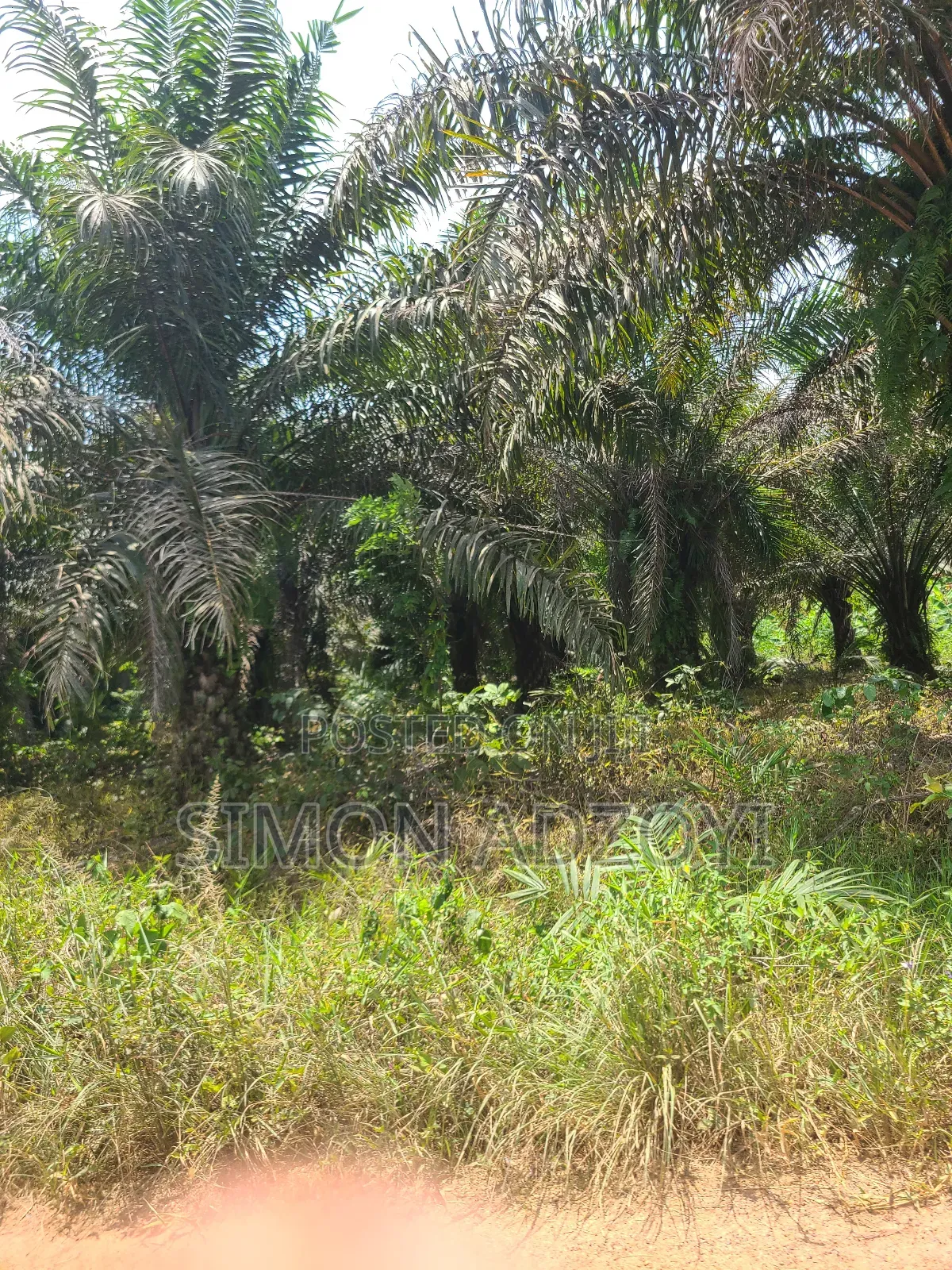 50,000 + Acres of Farm Land for Sale