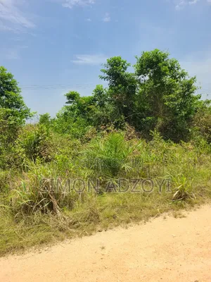 50,000 + Acres of Farm Land for Sale