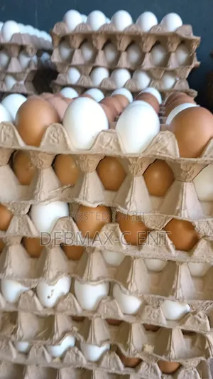 Diamond Eggs