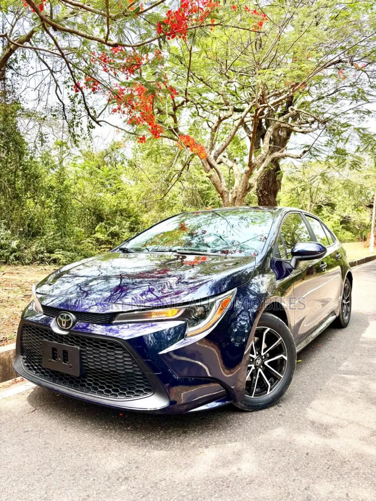 Toyota Corolla LE 2021 Blue