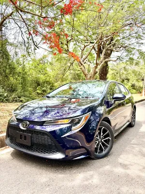 Toyota Corolla LE 2021 Blue