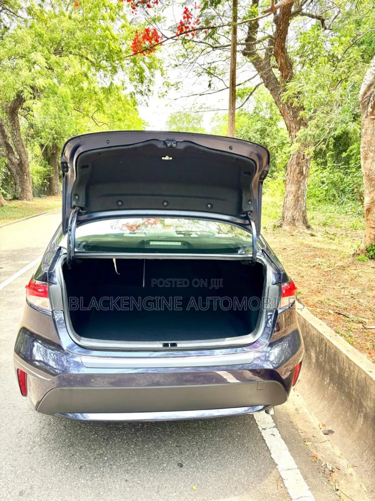 Toyota Corolla LE 2021 Blue