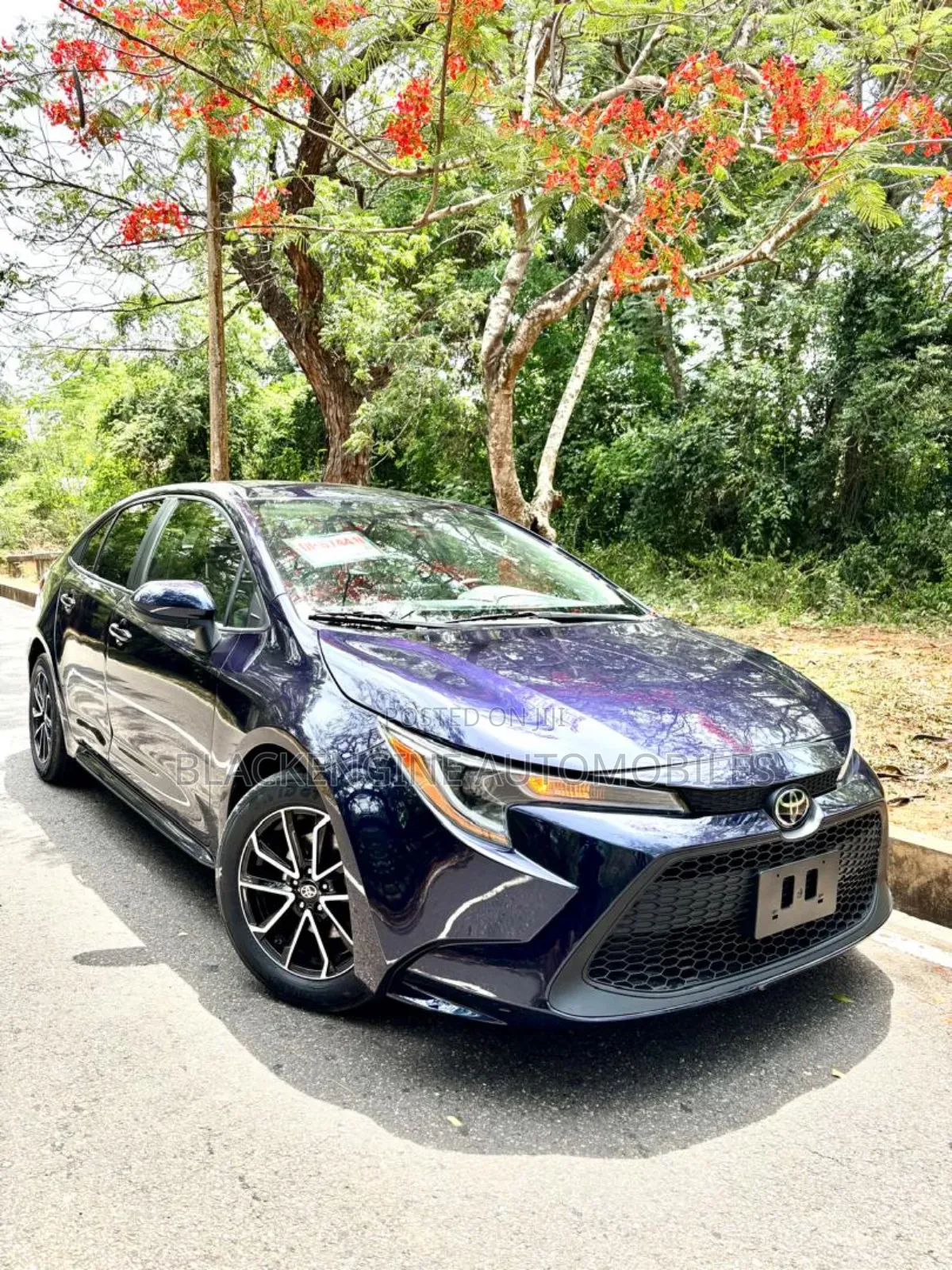 Toyota Corolla LE 2021 Blue