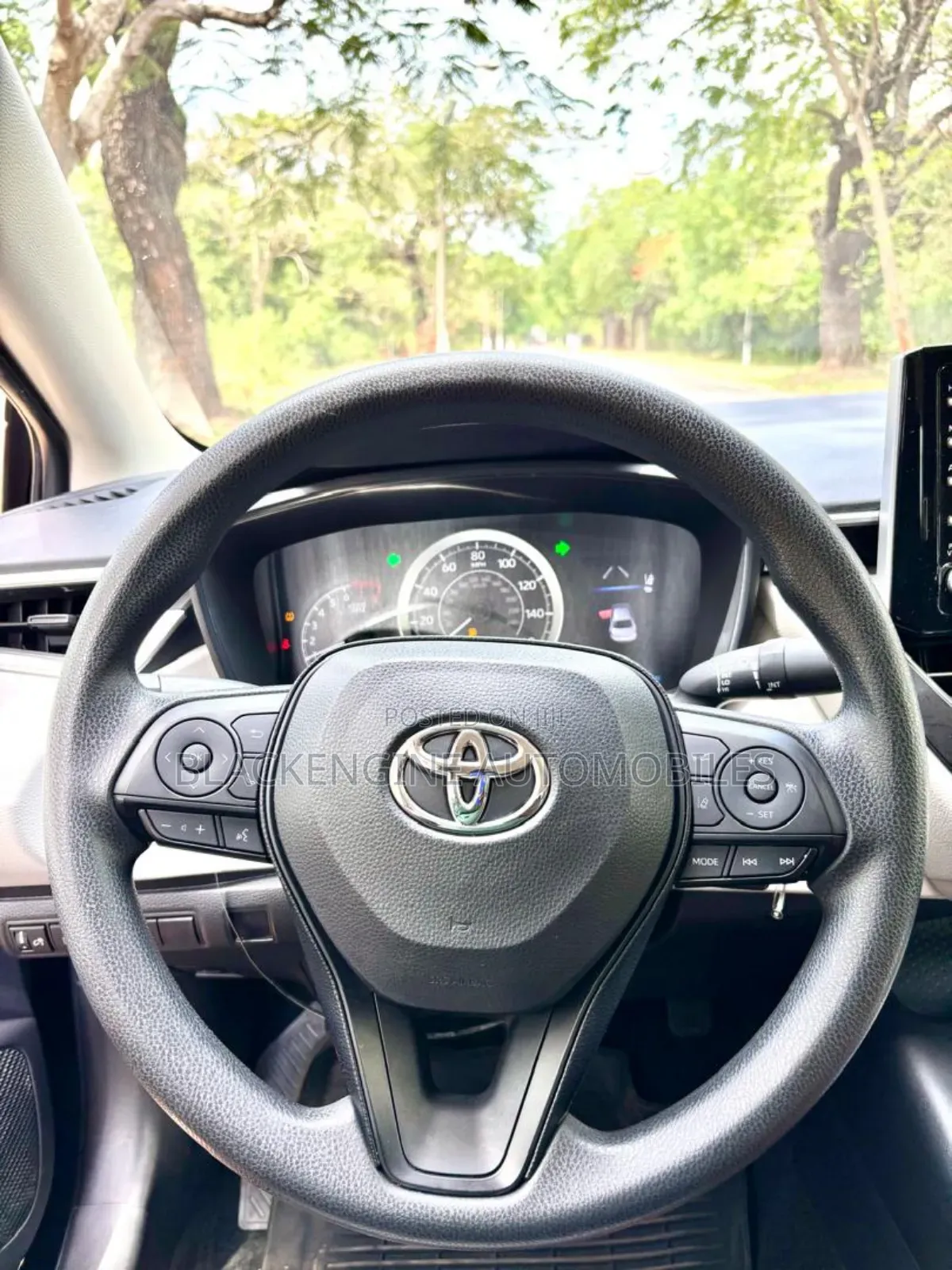 Toyota Corolla LE 2021 Blue