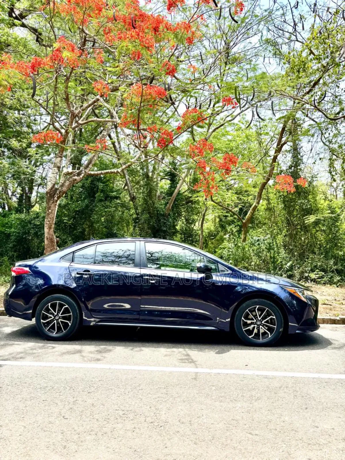 Toyota Corolla LE 2021 Blue