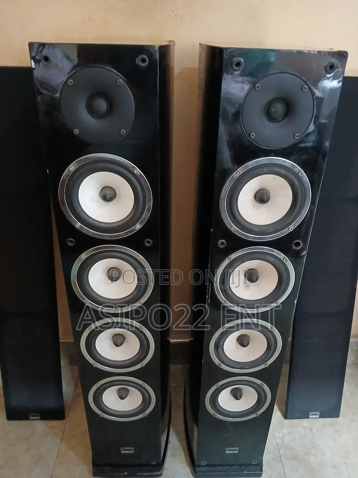 Mars Floor Standing Speaker