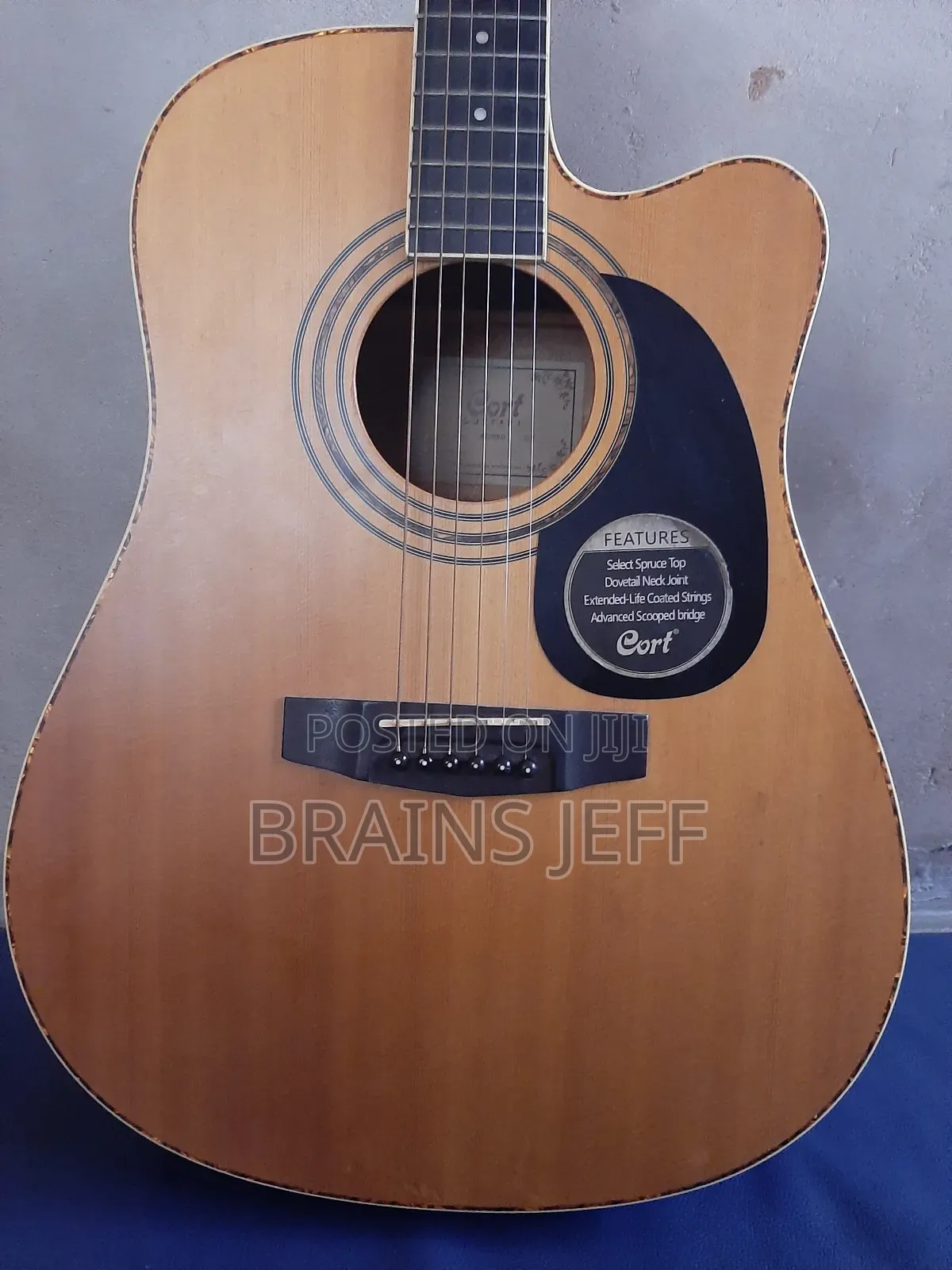 Cort Semi-Acoustic Guitar