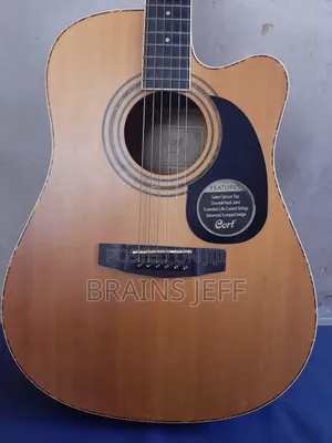 Cort Semi-Acoustic Guitar