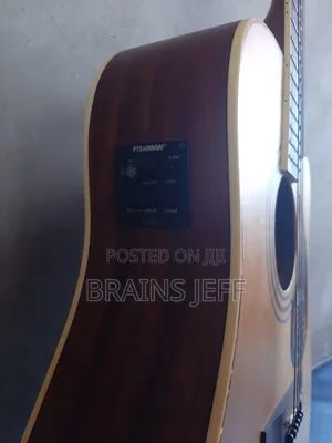 Cort Semi-Acoustic Guitar