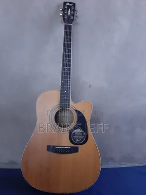 Cort Semi-Acoustic Guitar