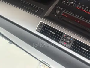 BMW 318i 2010 Gray