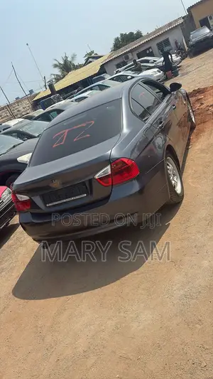 BMW 318i 2010 Gray