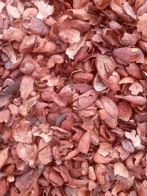 Cocoa Shell
