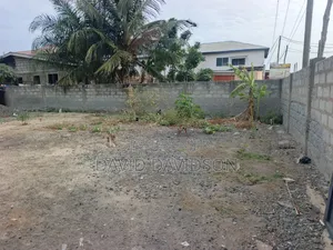 Half Plot at Lashibi Community 16