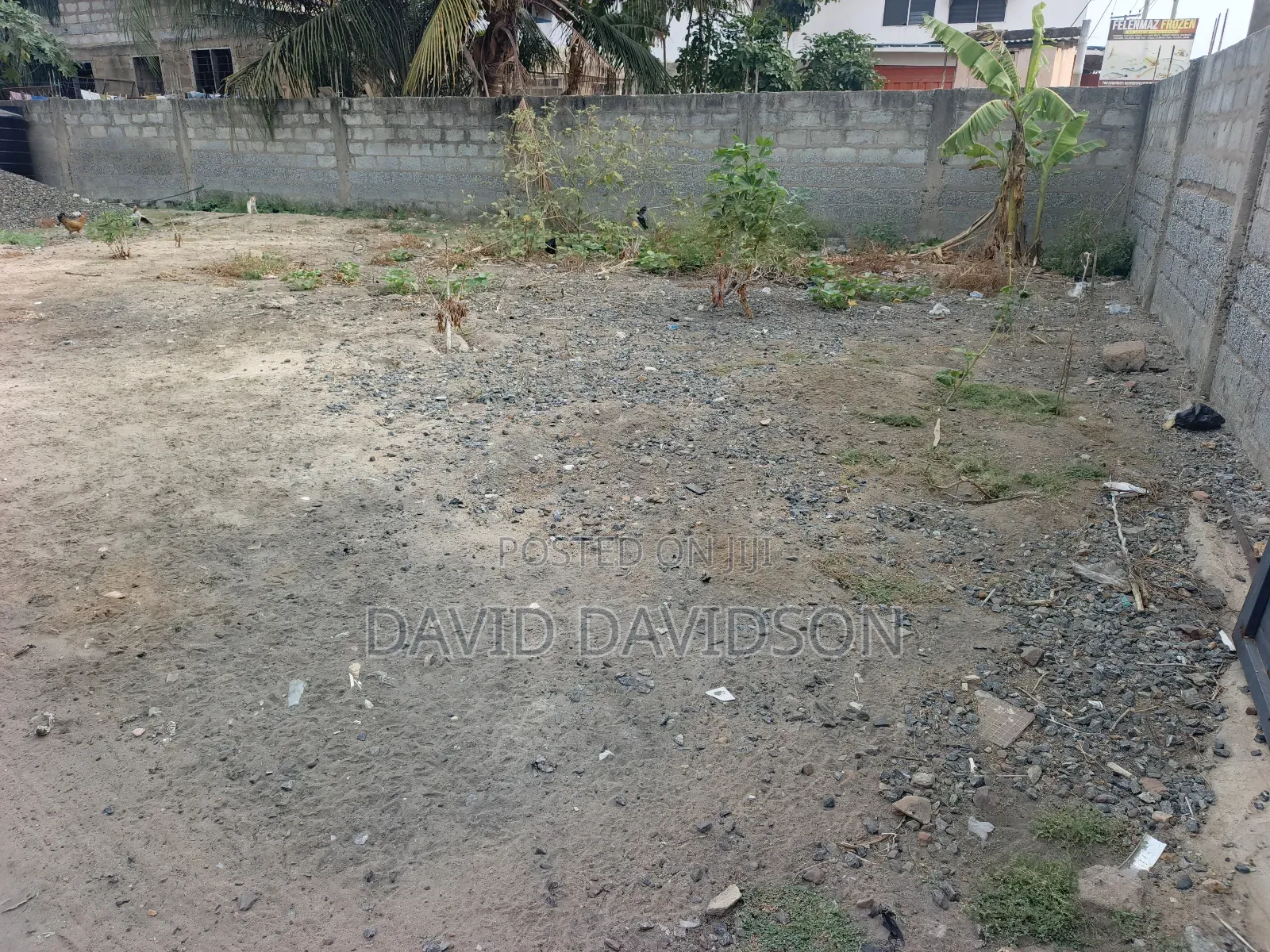 Half Plot at Lashibi Community 16