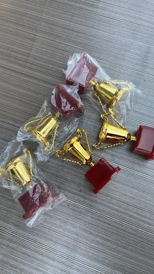 Mini Trophy