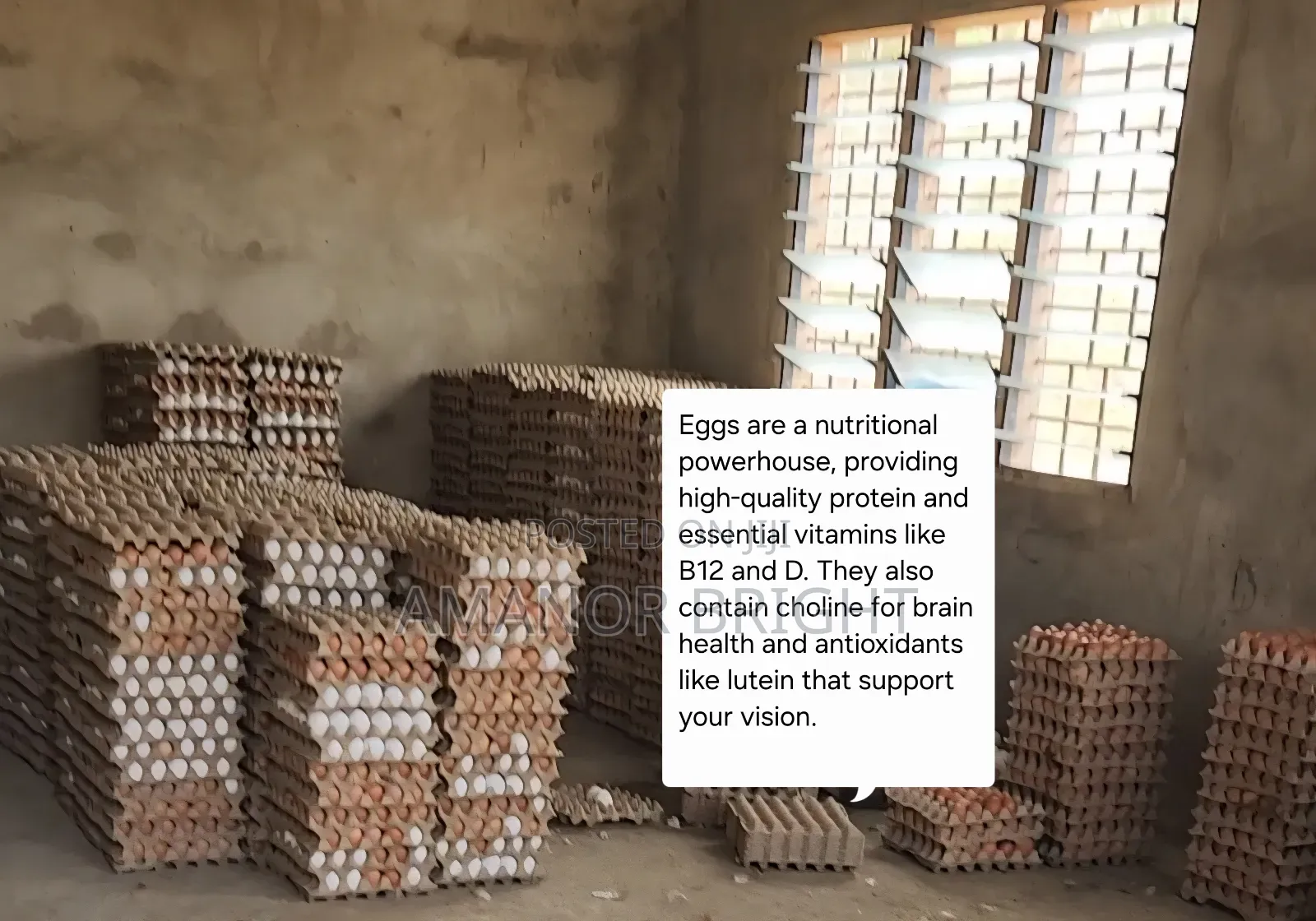 Quality and Healthy Fresh Eggs From Farm