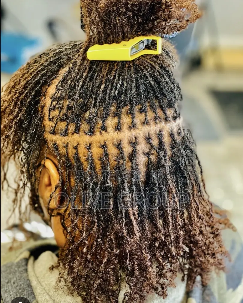 Beautiful Sisterlocks