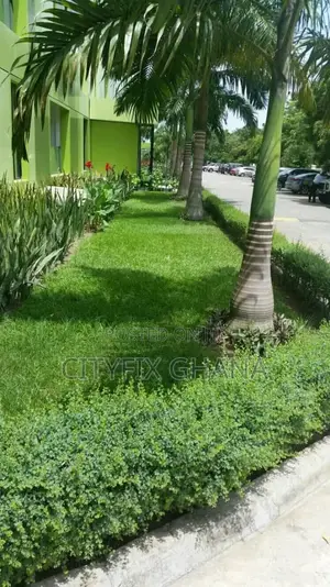Professional Grass Cutting, Landscaping Compound Cleaning