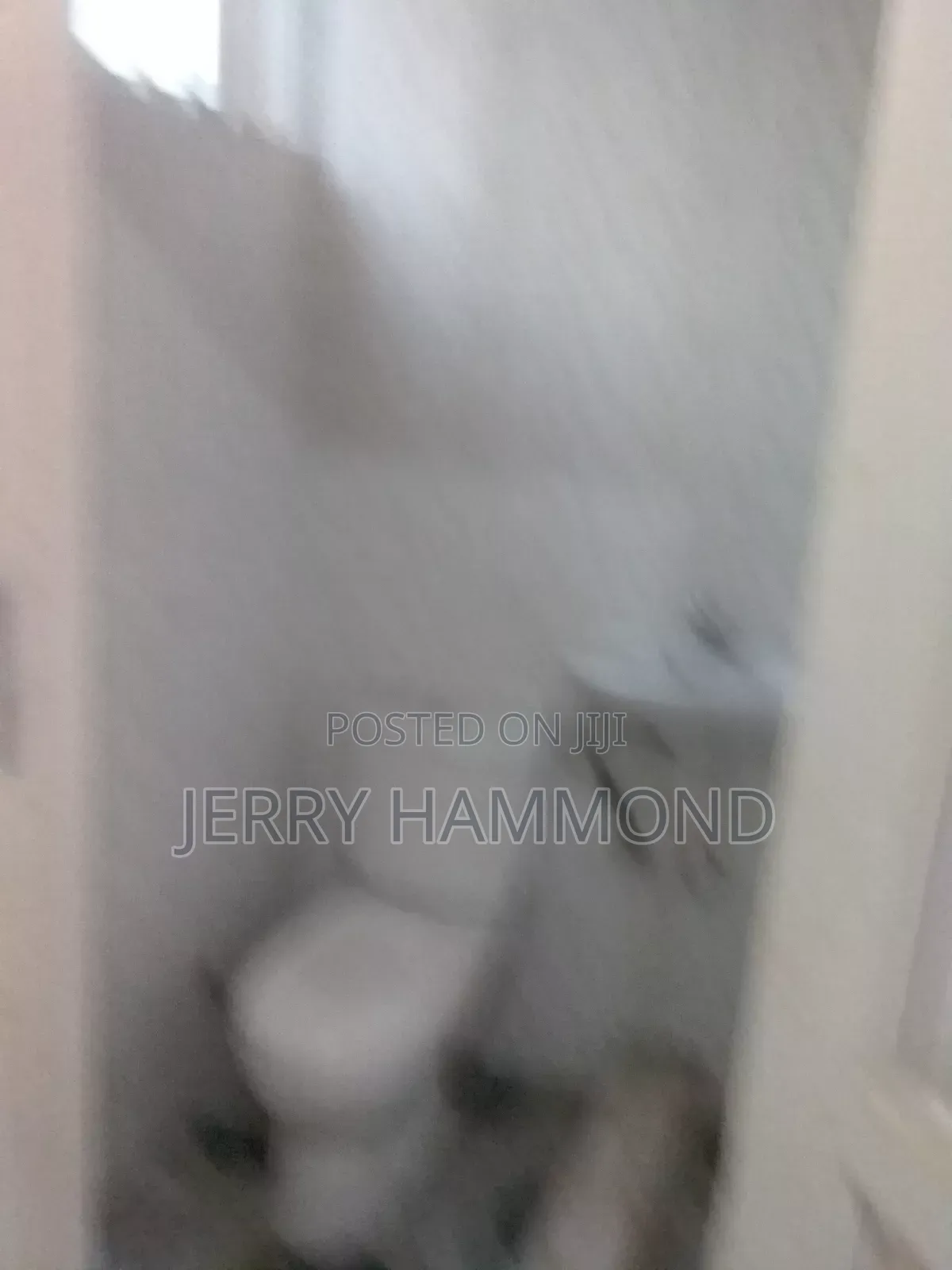2bdrm Apartment in Tseaddo Burma Hills for rent
