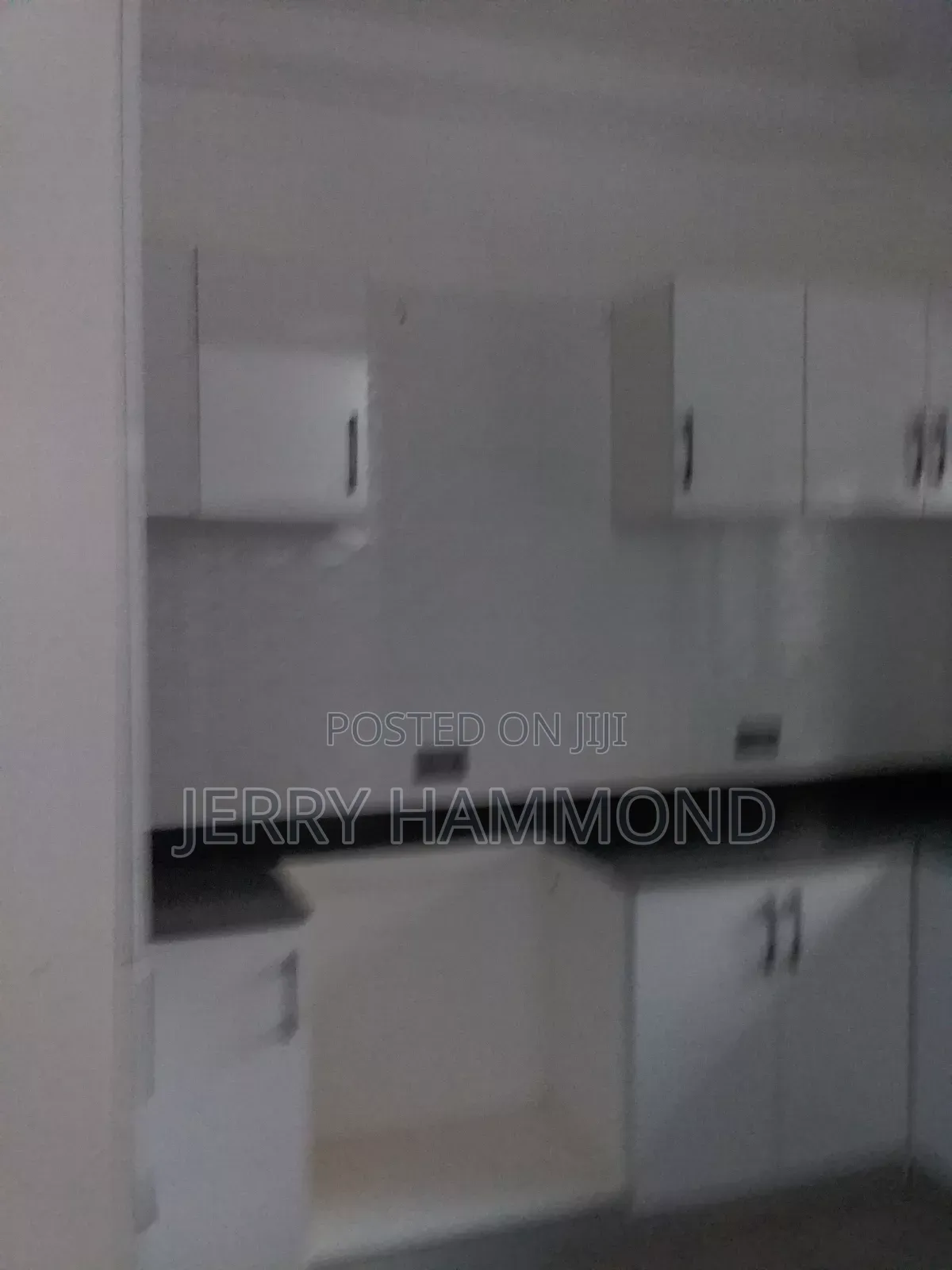 2bdrm Apartment in Tseaddo Burma Hills for rent