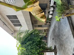 8bdrm Mansion in 8 Bedroom, Kwashieman for sale