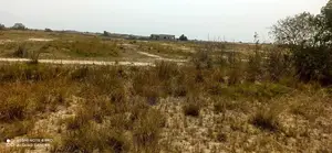 4 Plots for Sale