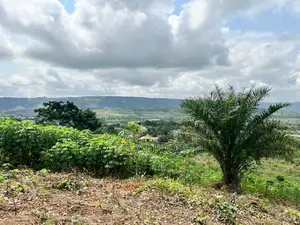 Residential and Commercial Lands