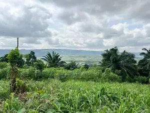 Residential and Commercial Lands