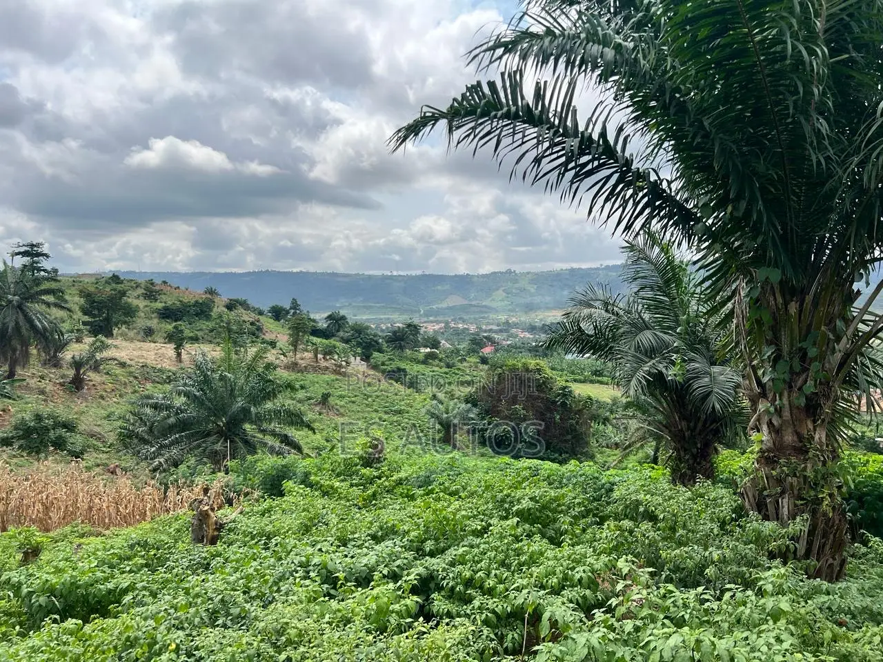 Residential and Commercial Lands