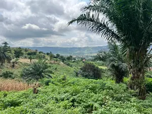 Residential and Commercial Lands