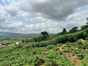 Residential and Commercial Lands