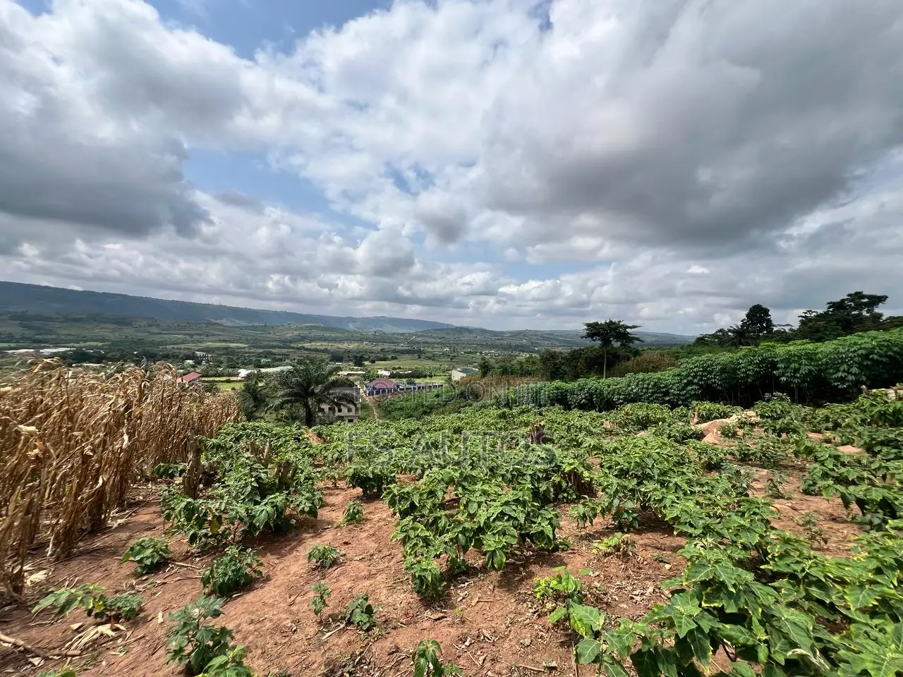 Residential and Commercial Lands