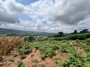 Residential and Commercial Lands