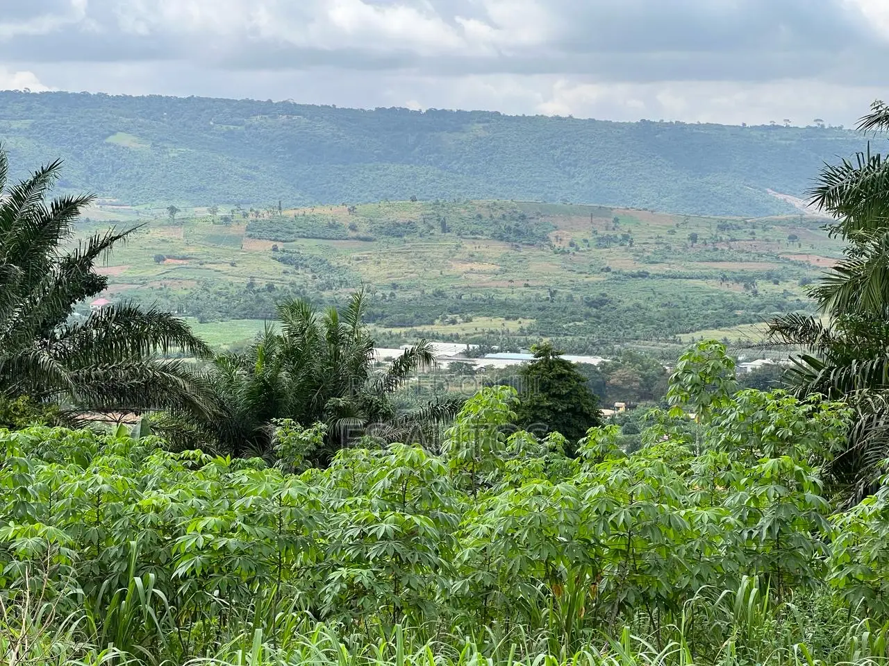 Residential and Commercial Lands