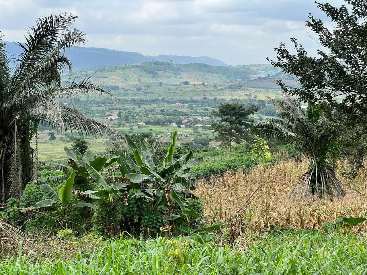 Residential and Commercial Lands