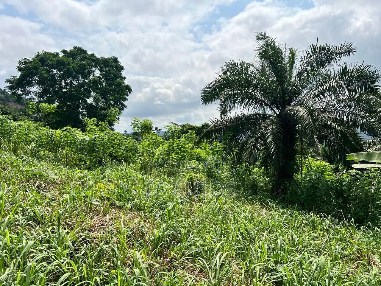 Residential and Commercial Lands