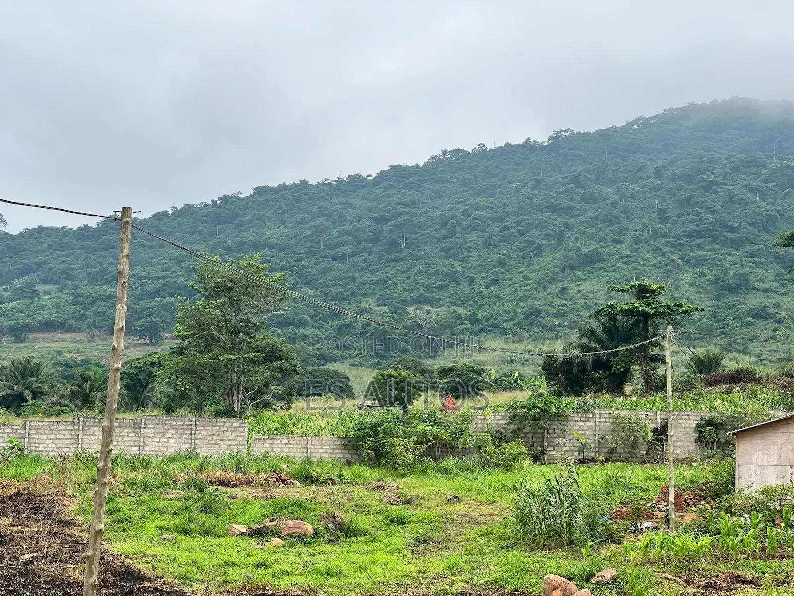 Residential Land