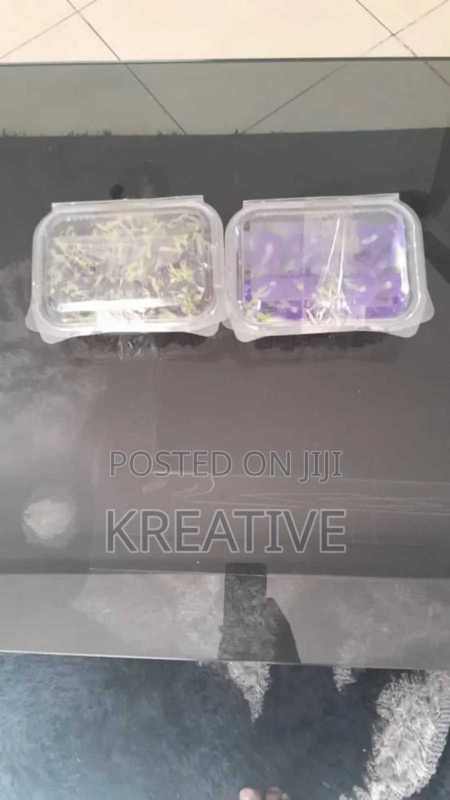Butterfly Pea Flower for Sale