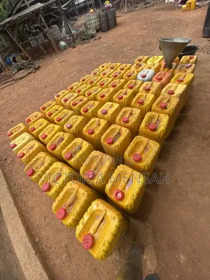 Toria’S Palm Oil (25 Litres)