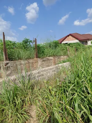 Litigation Free Half Plot Forsale at Apemso - Emena