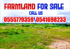 Kismike and Adusman Investment