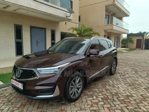Acura RDX Advance Pkg AWD 2019 Brown