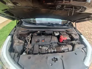 Acura RDX Advance Pkg AWD 2019 Brown