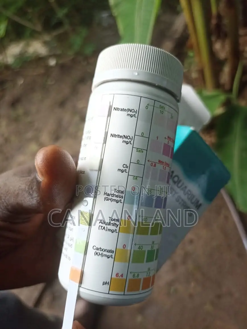 Test Strip Kit - Water Testing