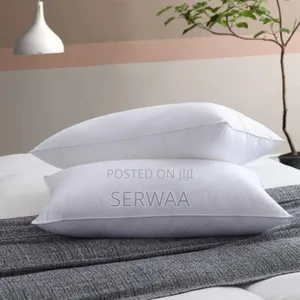 2 Micro Fibre Pillows